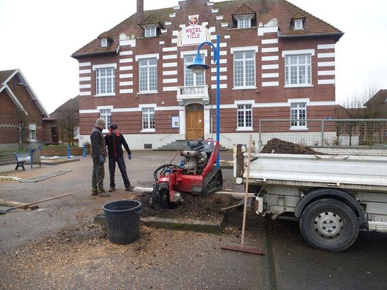 dessouchage des arbres place de la mairie 3
