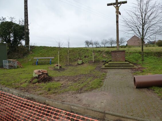 replantation des arbres du calvaire
