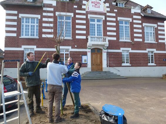 replantation place de la mairie