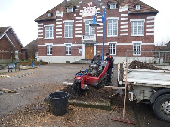 dessouchage des arbres place de la mairie