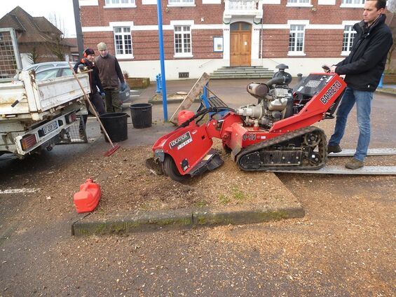 dessouchage des arbres place de la mairie